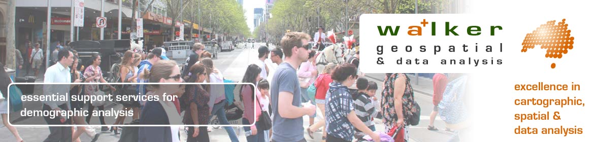 GIS consultants and data analysis for Demographic Analysis